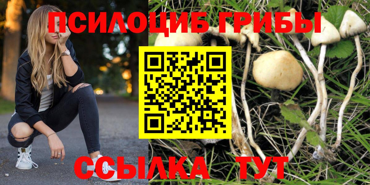 Псилоцибиновые грибы Cubensis  Вход с VPN  даркнет сайт  Вичуга 