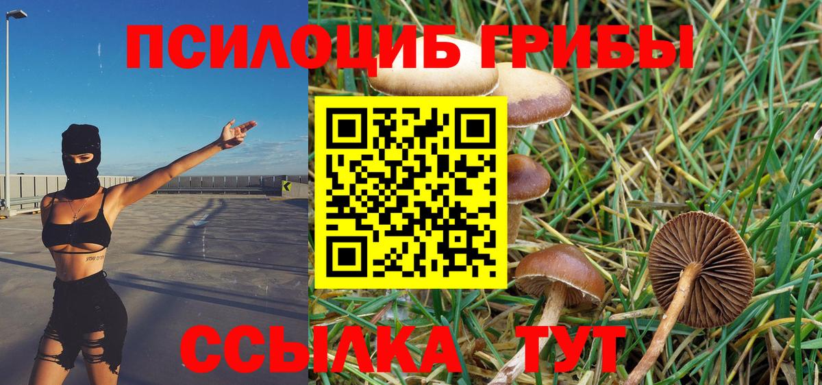 Галлюциногенные грибы Magic Shrooms Вичуга