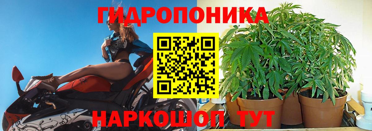 Бошки марихуана ГИДРОПОН  Канабис THC 21%  Вход с VPN  Марихуана AK-47  Вичуга  Шишки марихуана THC 21% 